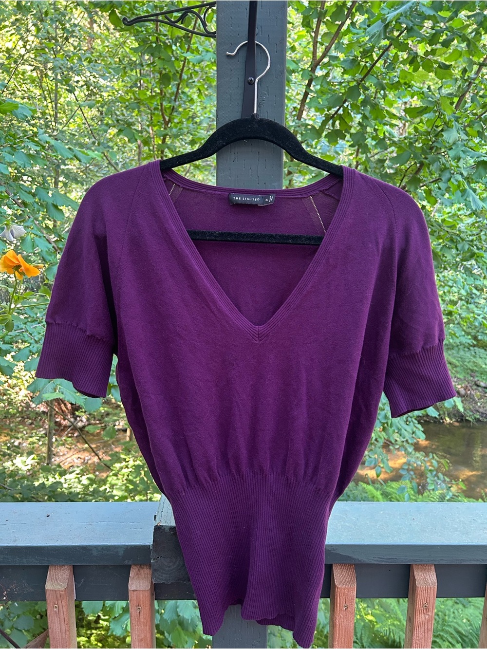 The Limited Deep V-Neck Short Sleeve Sweater - Plum